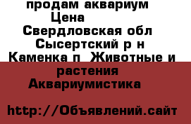 продам аквариум › Цена ­ 4 000 - Свердловская обл., Сысертский р-н, Каменка п. Животные и растения » Аквариумистика   